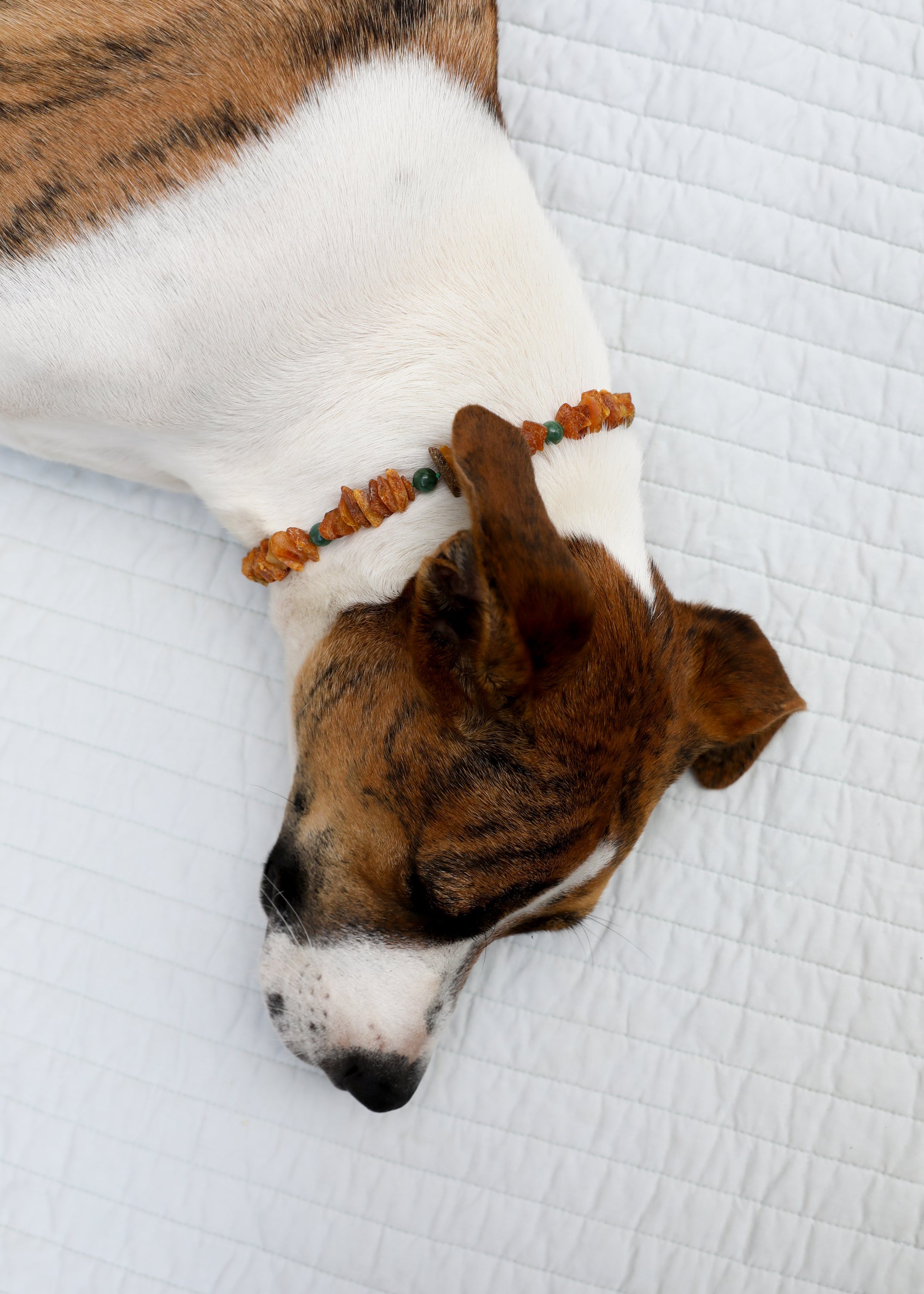 Pet Necklace: Raw Baltic Amber + Natural Green Jade by CanyonLeaf