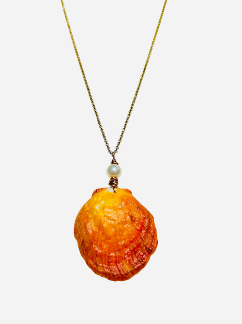 Ancient Sun & Sea – Handcrafted Lion’s Paw Shell & Freshwater Pearl Statement Necklace by West Cove