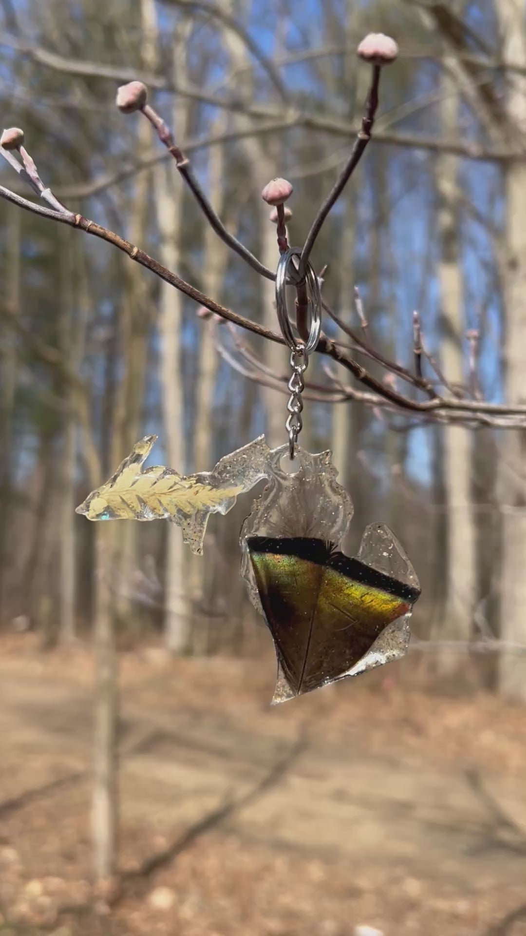 Michigan Wild Turkey Feather keychain